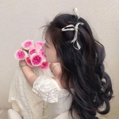 黄先生的秘密 在线观看
